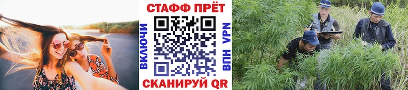 Где найти наркотики Валуйки COCAIN Псилоцибиновые грибы Гашиш Меф мяу мяу A PVP