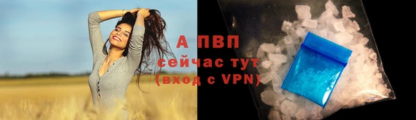 дурь Белокуриха
