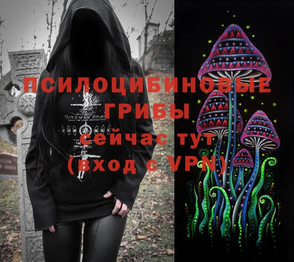 дурь Белокуриха