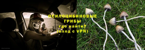 дурь Белоозёрский