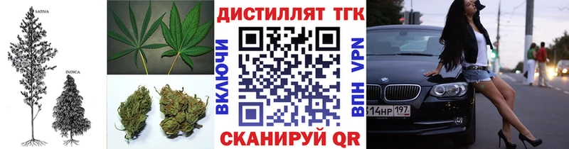 закладка  Валуйки  ТГК концентрат 