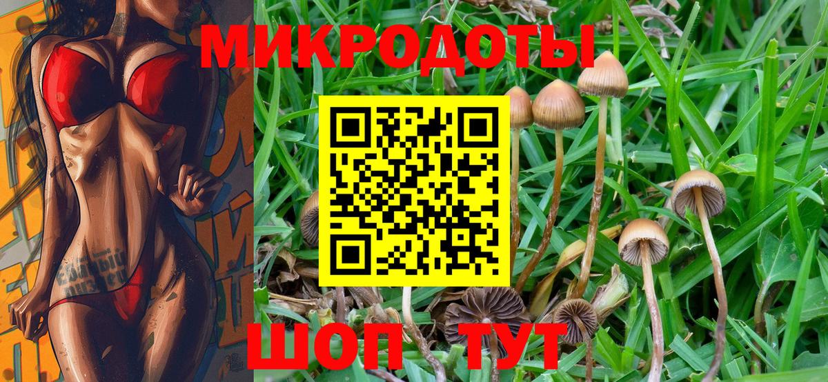 Валуйки  Псилоцибиновые грибы Psilocybe  закладки  Вход с VPN 