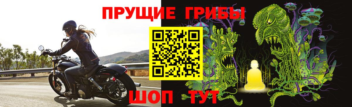 Галлюциногенные грибы мухоморы  Псилоцибиновые грибы Psilocybe  Валуйки 