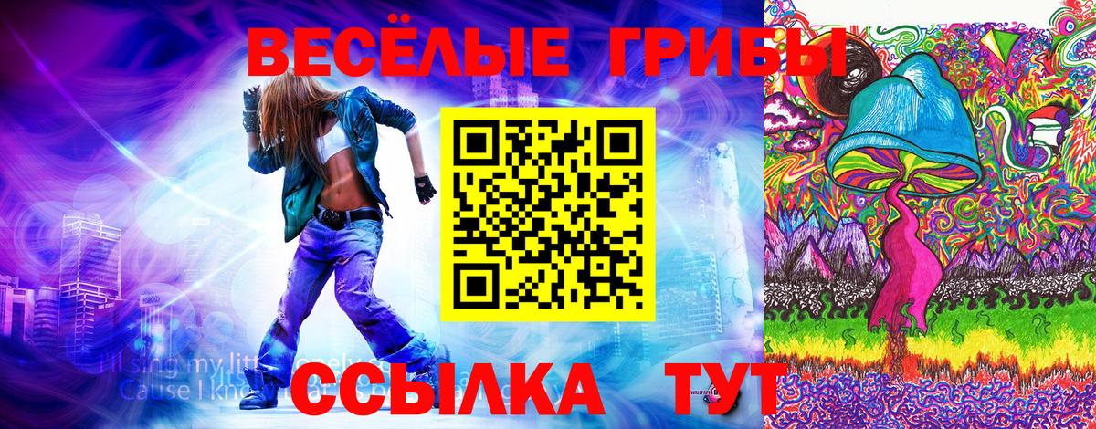 Псилоцибиновые грибы Cubensis Валуйки