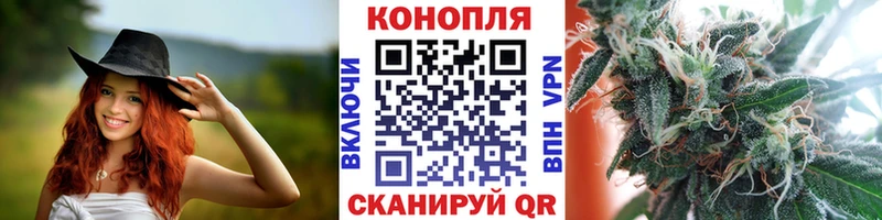 закладка  Валуйки  Шишки марихуана планчик 